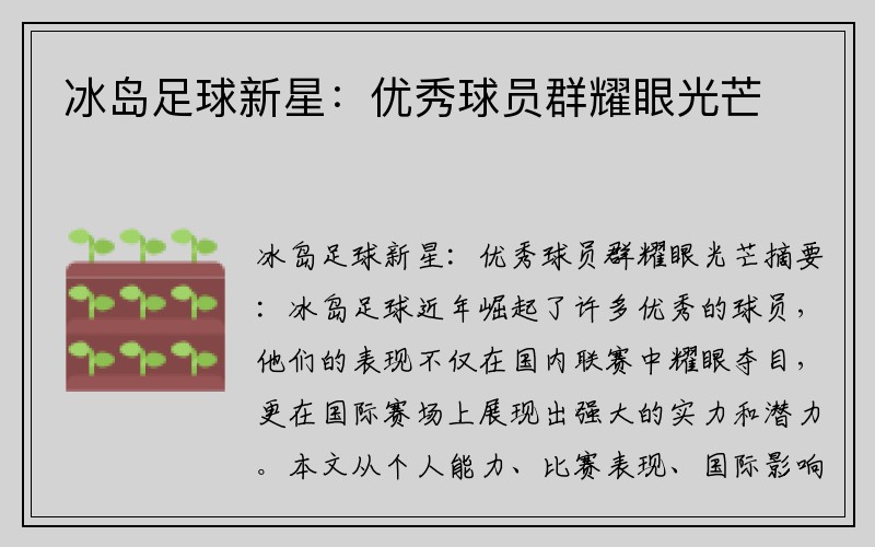 冰岛足球新星：优秀球员群耀眼光芒